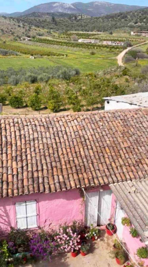Sunny House At Ancient Mycenae, Close To Nafplio! Mykines